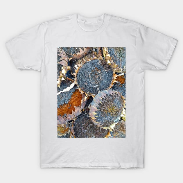 Sunflower Seeds by Avril Thomas at Magpie Springs T-Shirt by MagpieSprings